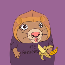 8628