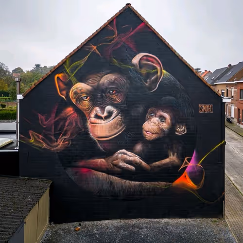 datartist.lens-Collect-5421