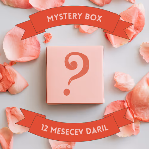 🎁 Mystery Box 🎁