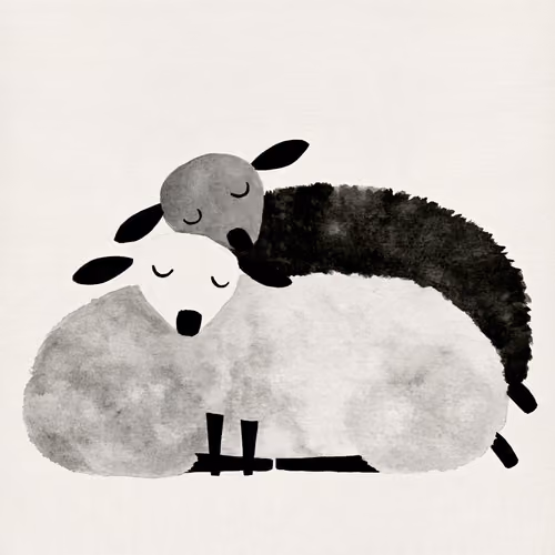 sheep(23)