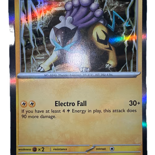 Raikou