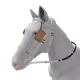 7162