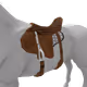 1017