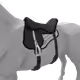 4612