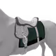 3004