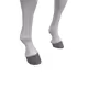 5523