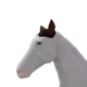 6492