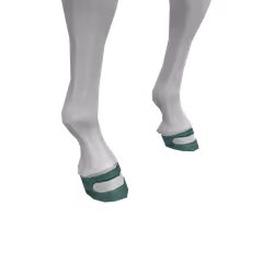 Turquoise Horseshoes Of Amphitrite