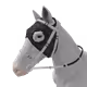2681