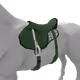 2872