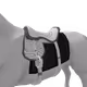 4529