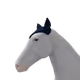 6219