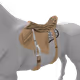 5397