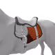 2746