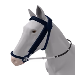 Saphire Bridle Of Amphion And Zethus