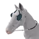 1521