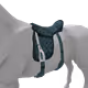 3609
