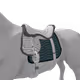 6811