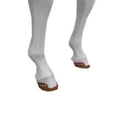 Tan Horseshoes Of Euchenor
