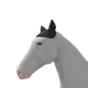 6648