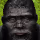 62
