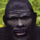 111
