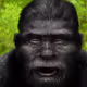 63