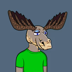 Moose #2037
