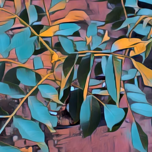 Green Leaves
