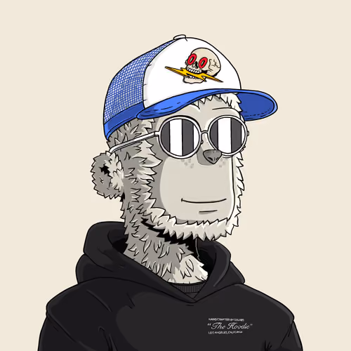 y00t #7457