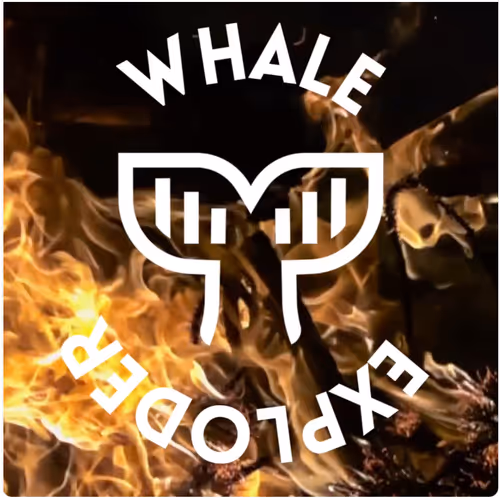 Whale Exploder 1 year Birthday Burn!