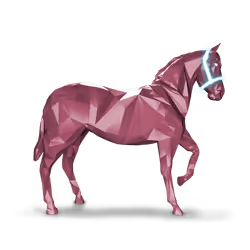 Unnamed Foal