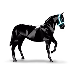Midnight's Shadow