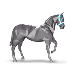 Unnamed Foal