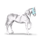 42800