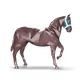 30272