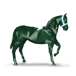 Unnamed Foal