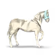 141