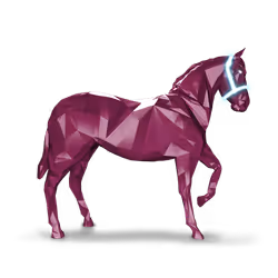 Dorsal Fin