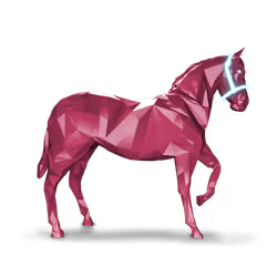 Unnamed Foal