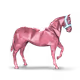 67504