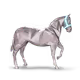 485987