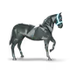 137823