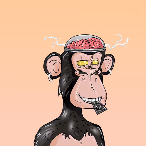 Weary Ape Yacht Club #1130