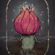 Mandragora #69