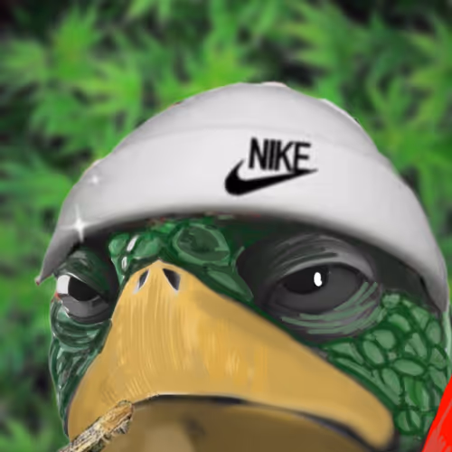 Tired Turtle Tales