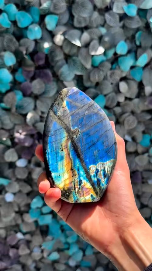 Item #554418431662450179885 Media