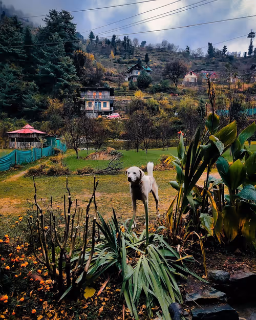 Item #412204954026476148567 Media