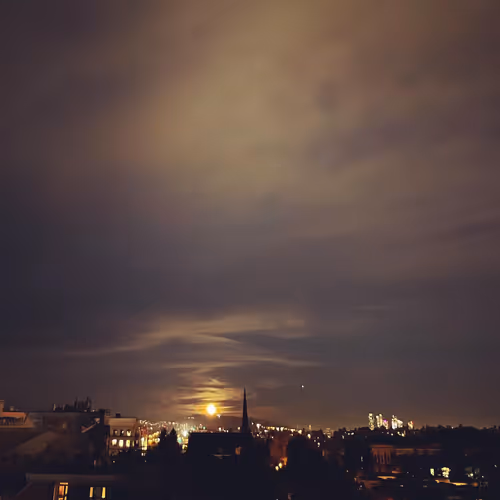 Item #218417909167149248816 Media