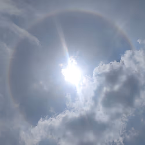 Item #795579425084188491577 Media